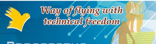 Vidya Infosystem Logo